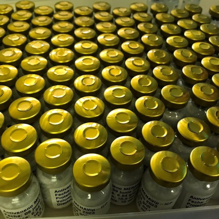 Rows of antivenom vials with gold-coloured caps arranged neatly on a surface.